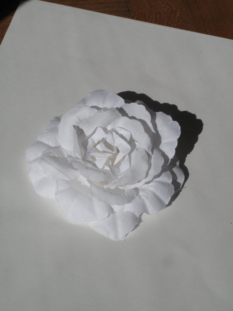 Rose Blanca